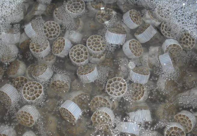 微信截圖_20210406092535.png 微信截圖_20210406092535.png